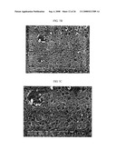 Three-Dimensional Scaffolds for Tissue Engineering Made by Processing Complex Extracts of Natural Extracellular Matrices diagram and image