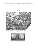 Three-Dimensional Scaffolds for Tissue Engineering Made by Processing Complex Extracts of Natural Extracellular Matrices diagram and image