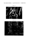 Three-Dimensional Scaffolds for Tissue Engineering Made by Processing Complex Extracts of Natural Extracellular Matrices diagram and image