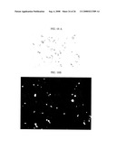 Three-Dimensional Scaffolds for Tissue Engineering Made by Processing Complex Extracts of Natural Extracellular Matrices diagram and image