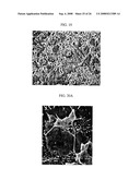 Three-Dimensional Scaffolds for Tissue Engineering Made by Processing Complex Extracts of Natural Extracellular Matrices diagram and image