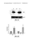 Hif Modulating Compounds and Methods of Use Thereof diagram and image