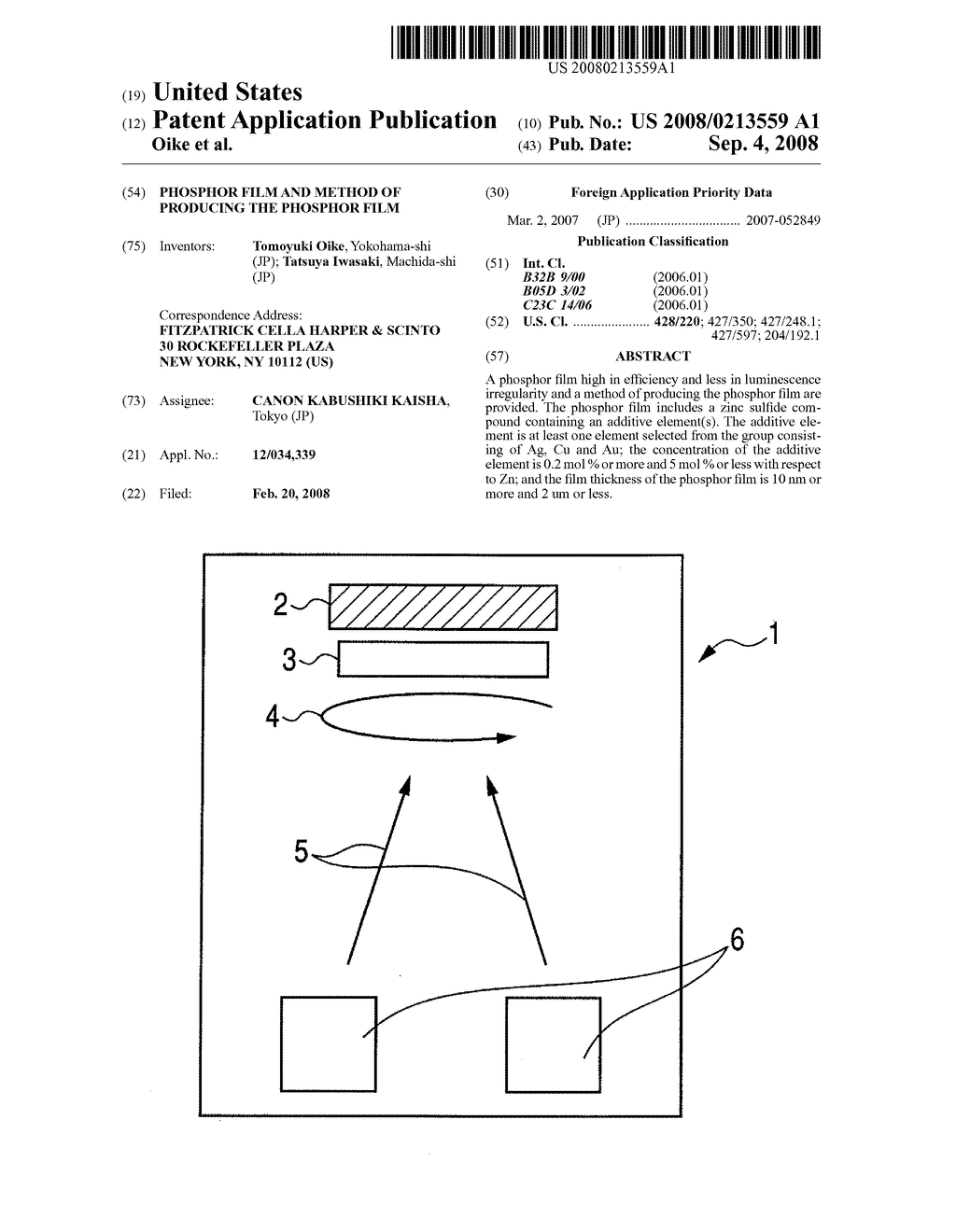 PHOSPHOR FILM AND METHOD OF PRODUCING THE PHOSPHOR FILM - diagram, schematic, and image 01