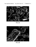 Sintered magnesium oxide, and plasma display panel prepared therefrom diagram and image