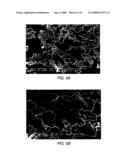 Sintered magnesium oxide, and plasma display panel prepared therefrom diagram and image