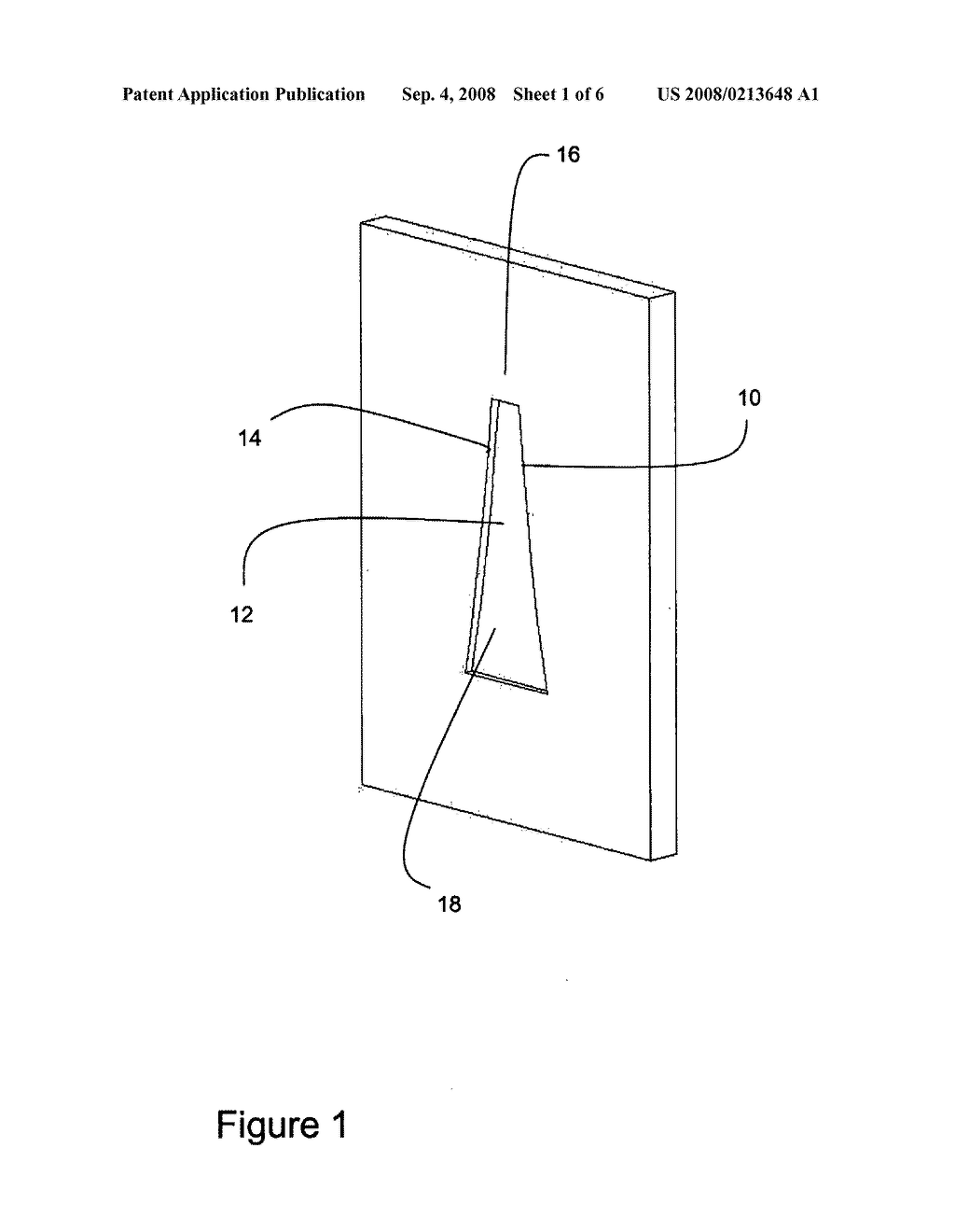 Fuel Cell Cathode Flow Field - diagram, schematic, and image 02