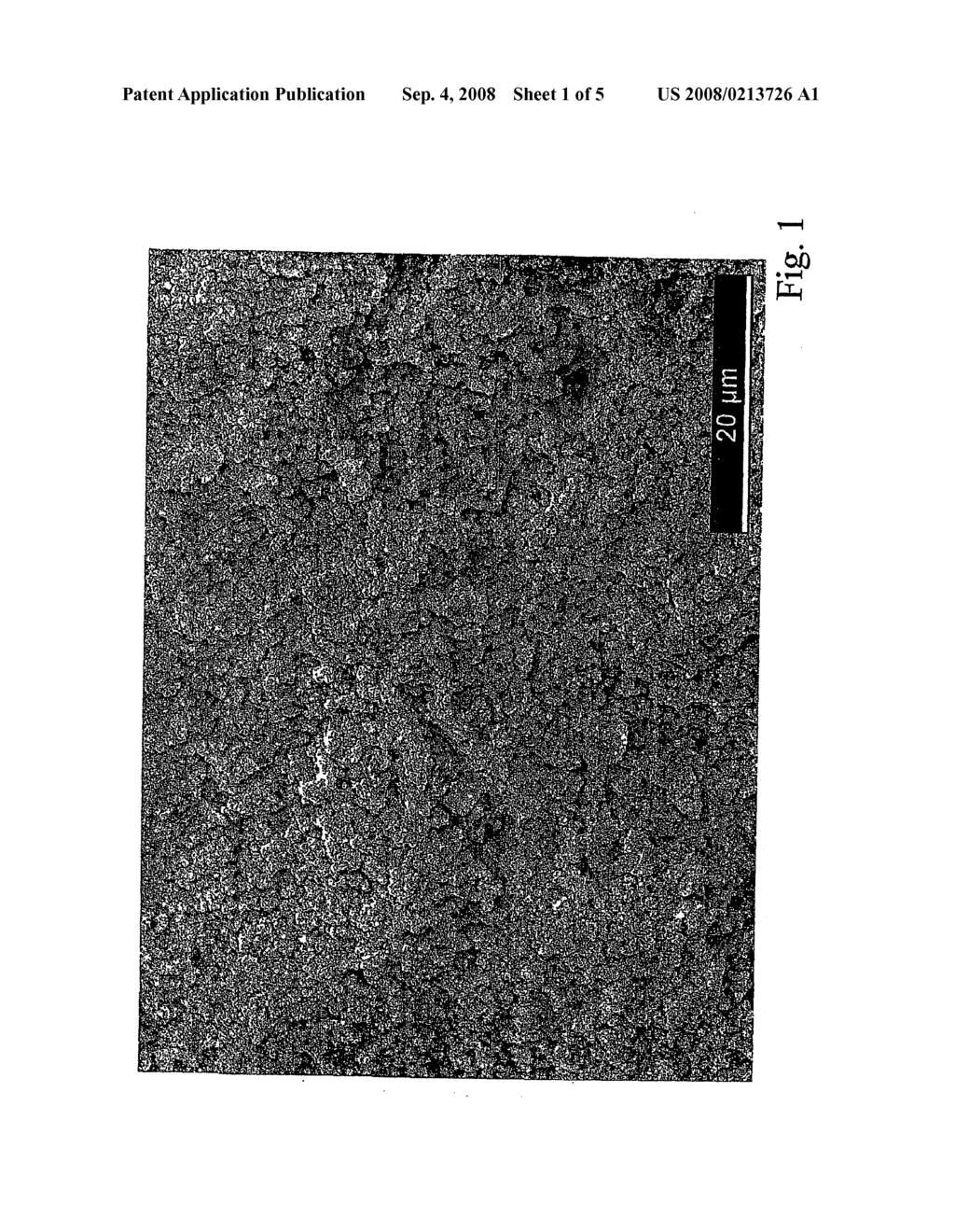 Dental Implant and Method for the Production Thereof - diagram, schematic, and image 02