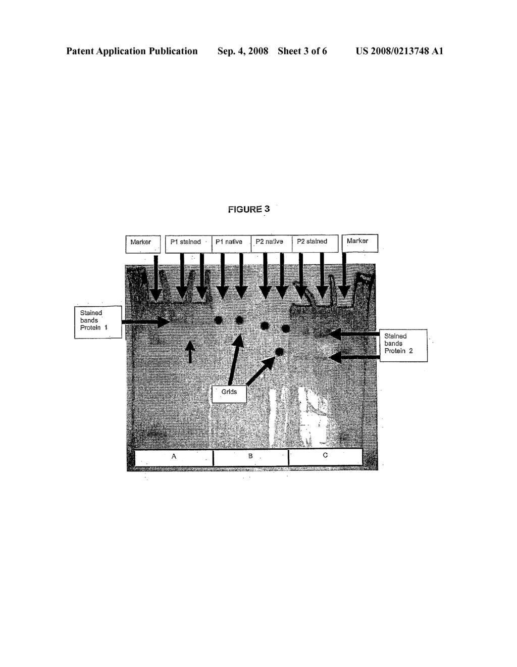 Method for Detection and Analysis of Macromolecular Complexes - diagram, schematic, and image 05