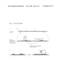 Real-Time Pcr Point Mutation Assays For Detecting Hiv - 1 Resistance to Antiviral Drugs diagram and image