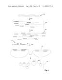 Methods and Compositions for Large-Scale Analysis of Nucleic Acids Using DNA Deletions diagram and image