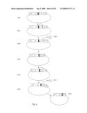 Methods and Compositions for Large-Scale Analysis of Nucleic Acids Using DNA Deletions diagram and image