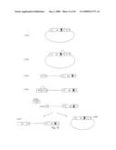 Methods and Compositions for Large-Scale Analysis of Nucleic Acids Using DNA Deletions diagram and image