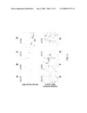 Mutations in Kit Confer Imatinib Resistance in Gastrointestinal Stromal Tumors diagram and image