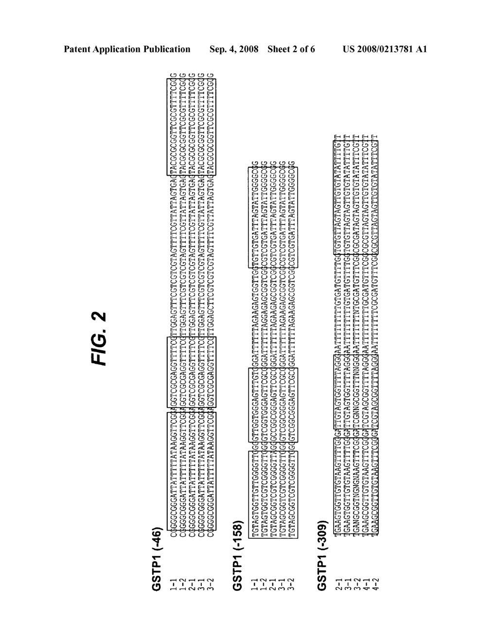 Methods of detecting methylation patterns within a CpG island - diagram, schematic, and image 03