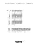 DNA sequences encoding peptide sequences specific for the hepatic stages of P. falciparum bearing epitopes capable of stimulating the T lymphocytes diagram and image