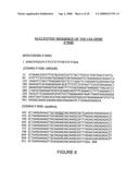 DNA sequences encoding peptide sequences specific for the hepatic stages of P. falciparum bearing epitopes capable of stimulating the T lymphocytes diagram and image