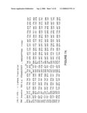 DNA sequences encoding peptide sequences specific for the hepatic stages of P. falciparum bearing epitopes capable of stimulating the T lymphocytes diagram and image