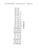 DNA sequences encoding peptide sequences specific for the hepatic stages of P. falciparum bearing epitopes capable of stimulating the T lymphocytes diagram and image