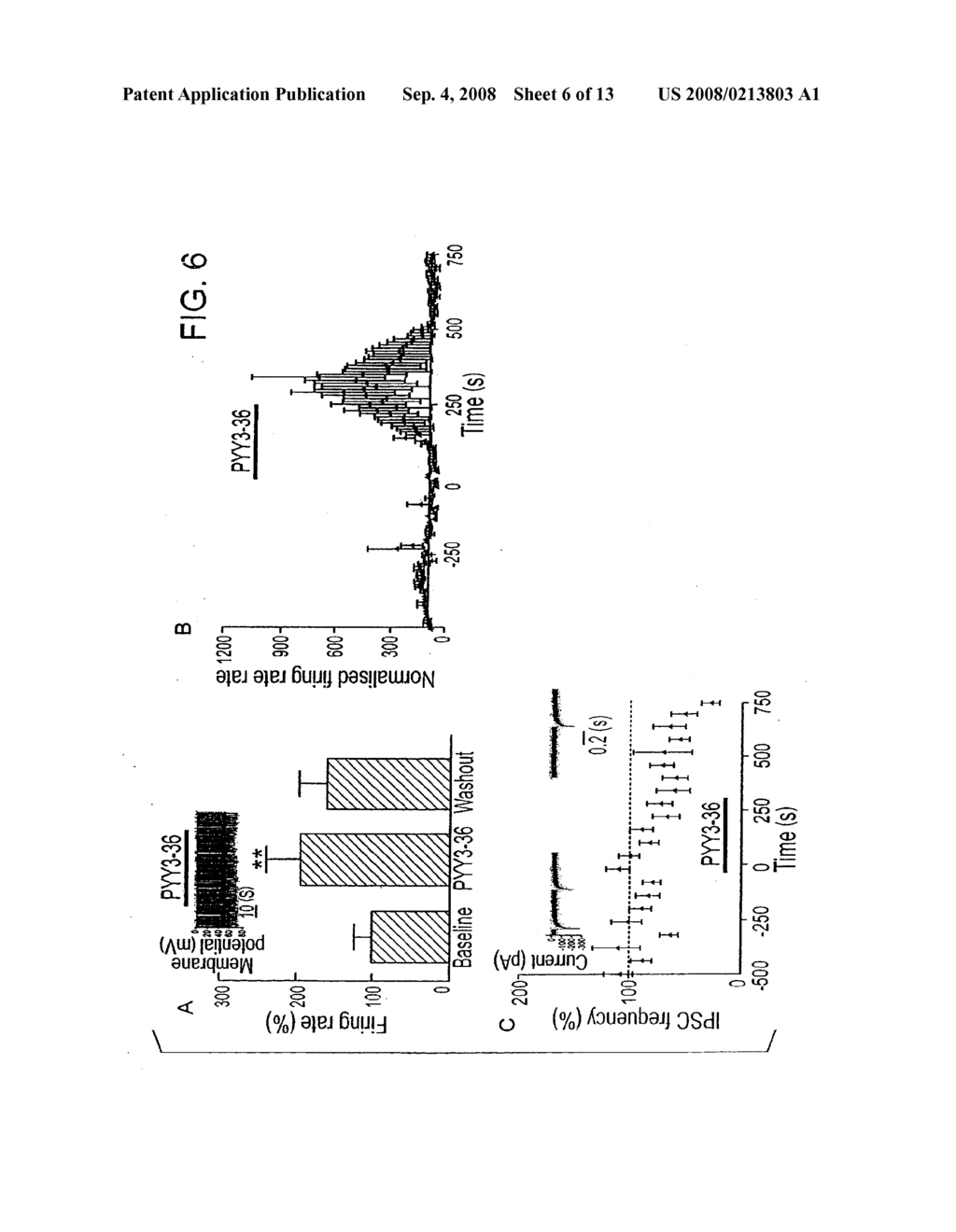 ASSESSMENT OF NEURONS IN THE ARCUATE NUCLEUS TO SCREEN FOR AGENTS THAT MODIFY FEEDING BEHAVIOR - diagram, schematic, and image 07