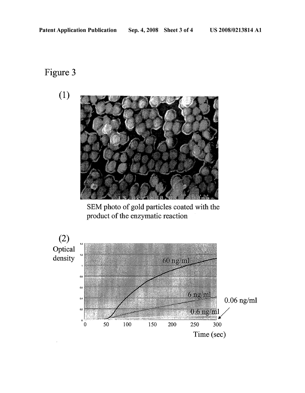 ENZYMATIC ASSAY FOR LSPR - diagram, schematic, and image 04