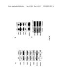 Enhancement of Th2-Dependent and Inflammatory Response diagram and image