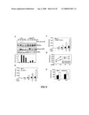 Enhancement of Th2-Dependent and Inflammatory Response diagram and image