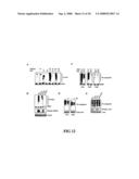 Enhancement of Th2-Dependent and Inflammatory Response diagram and image