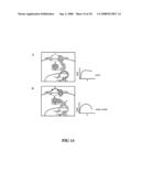 Enhancement of Th2-Dependent and Inflammatory Response diagram and image