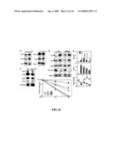 Enhancement of Th2-Dependent and Inflammatory Response diagram and image