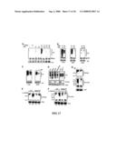 Enhancement of Th2-Dependent and Inflammatory Response diagram and image