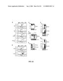 Enhancement of Th2-Dependent and Inflammatory Response diagram and image