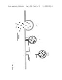 Degradable Clostridial Toxins diagram and image