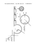 Degradable Clostridial Toxins diagram and image