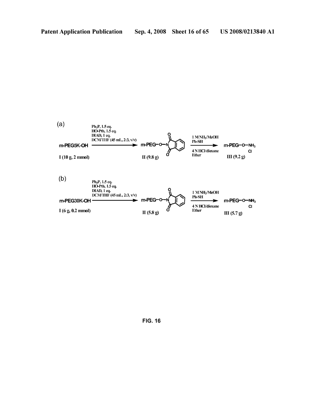 Compositions Containing, Methods Involving, and Uses of Non-Natural Amino Acids and Polypeptides - diagram, schematic, and image 17