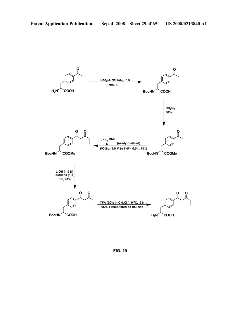 Compositions Containing, Methods Involving, and Uses of Non-Natural Amino Acids and Polypeptides - diagram, schematic, and image 30