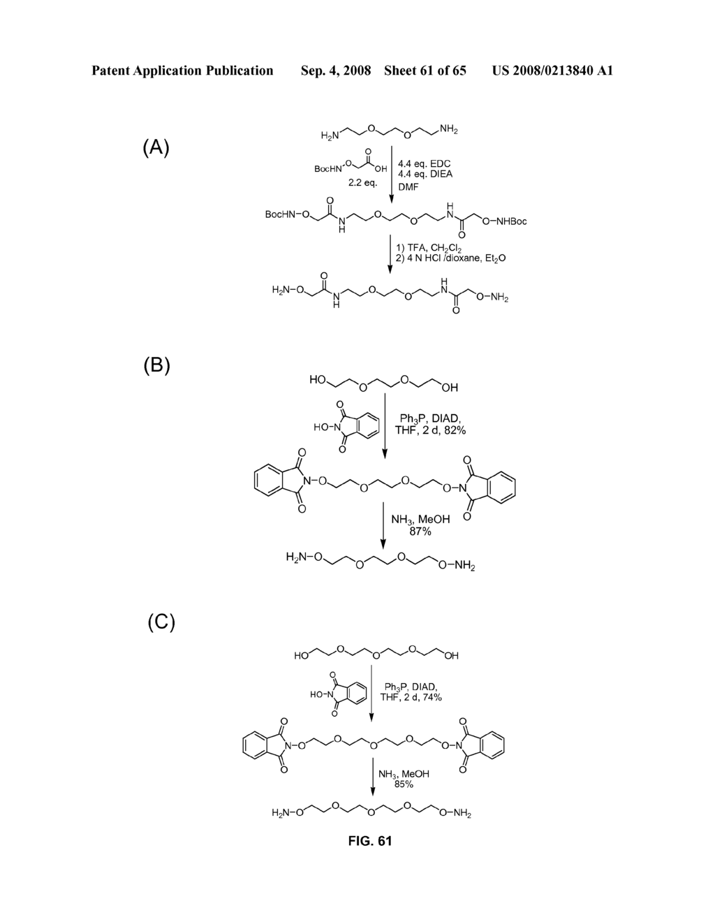 Compositions Containing, Methods Involving, and Uses of Non-Natural Amino Acids and Polypeptides - diagram, schematic, and image 62