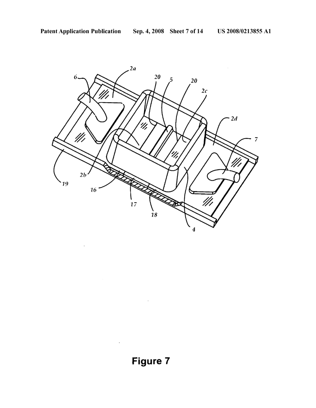 Planar electroporation apparatus and method - diagram, schematic, and image 08