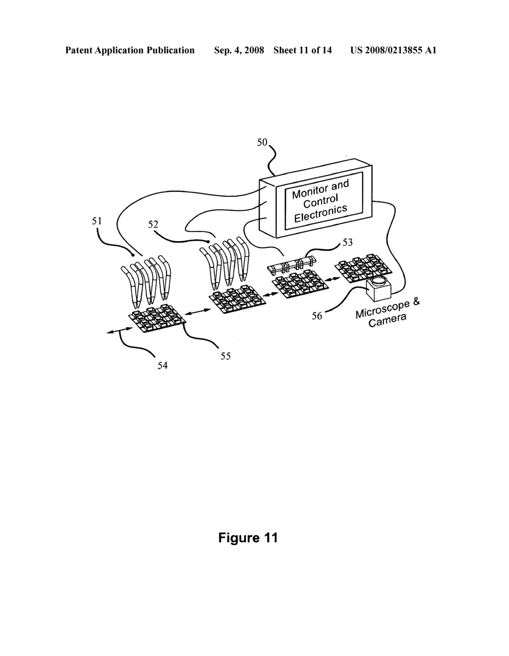 Planar electroporation apparatus and method - diagram, schematic, and image 12