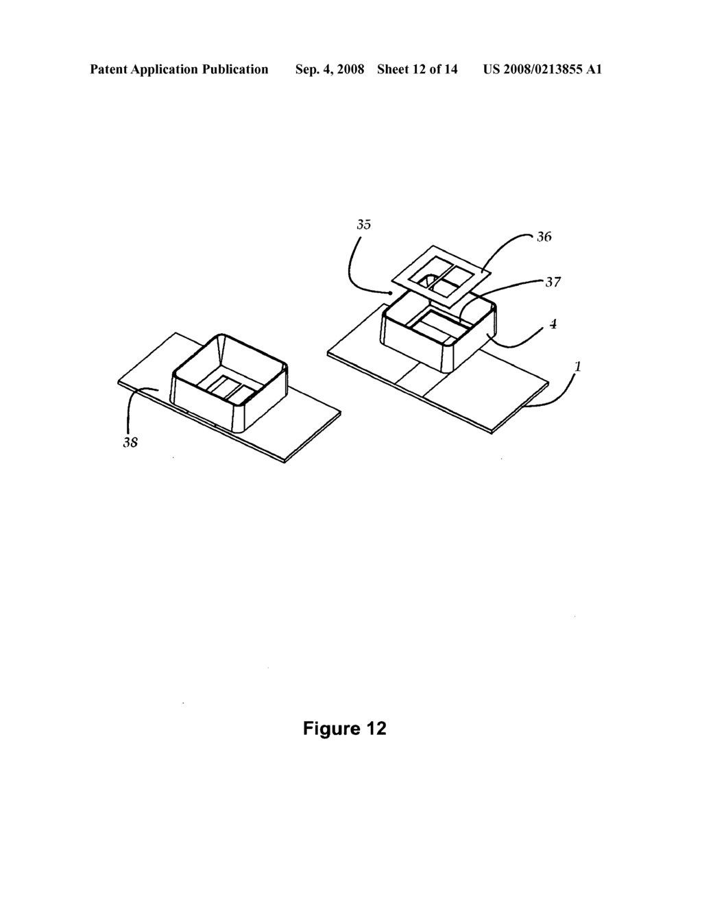 Planar electroporation apparatus and method - diagram, schematic, and image 13