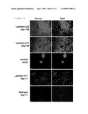 COMPOSITION AND METHOD FOR ENABLING PROLIFERATION OF PLURIPOTENT STEM CELLS diagram and image