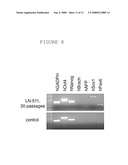 COMPOSITION AND METHOD FOR ENABLING PROLIFERATION OF PLURIPOTENT STEM CELLS diagram and image