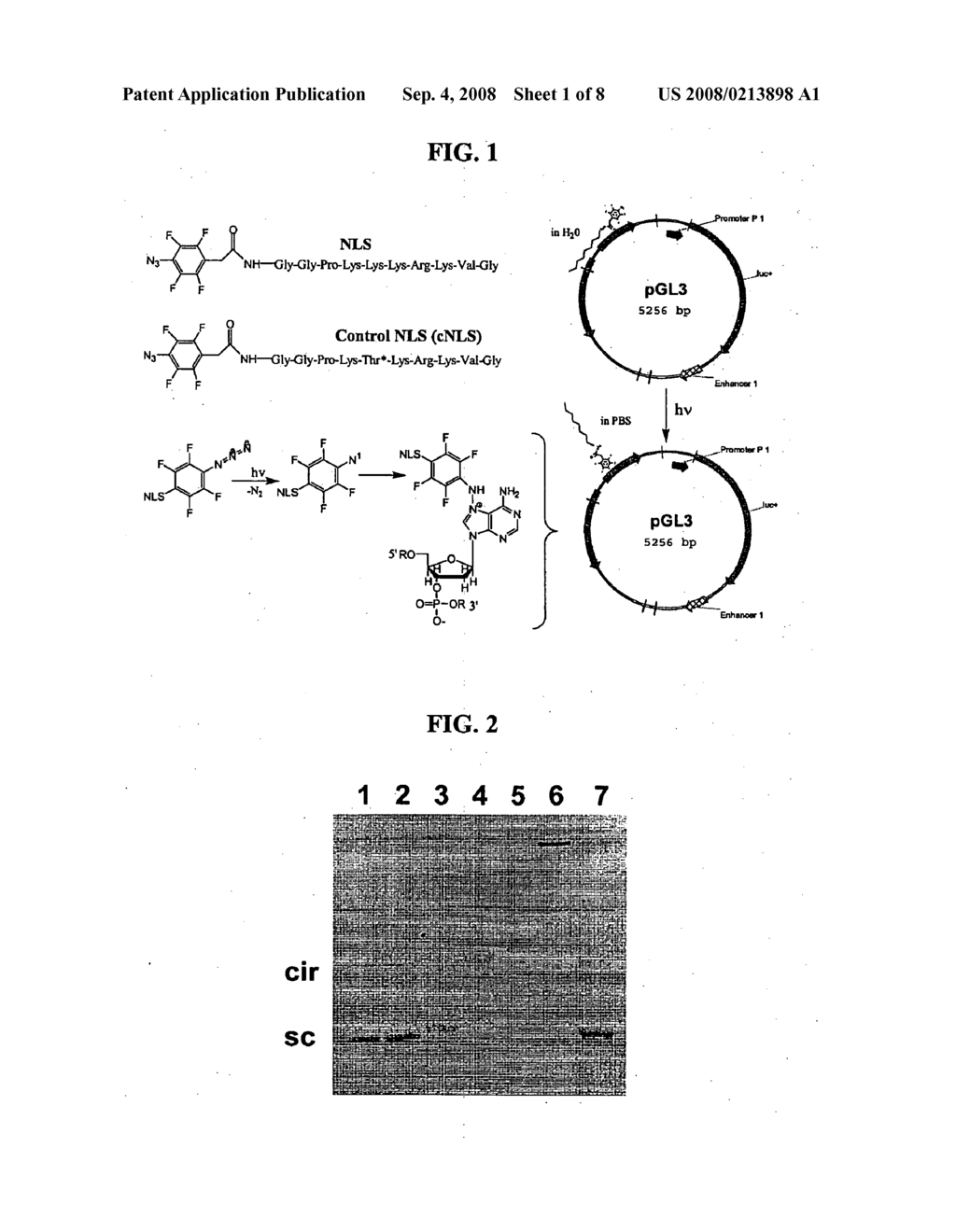 COMPOSITIONS AND METHODS FOR NUCLEIC ACID DELIVERY - diagram, schematic, and image 02