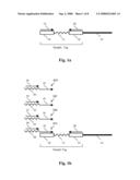 Parallel Methods For Insertional Mutagenesis diagram and image