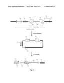 Parallel Methods For Insertional Mutagenesis diagram and image