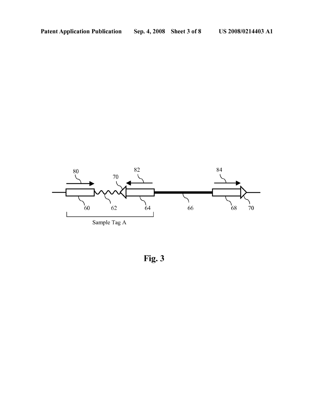 Parallel Methods For Insertional Mutagenesis - diagram, schematic, and image 04