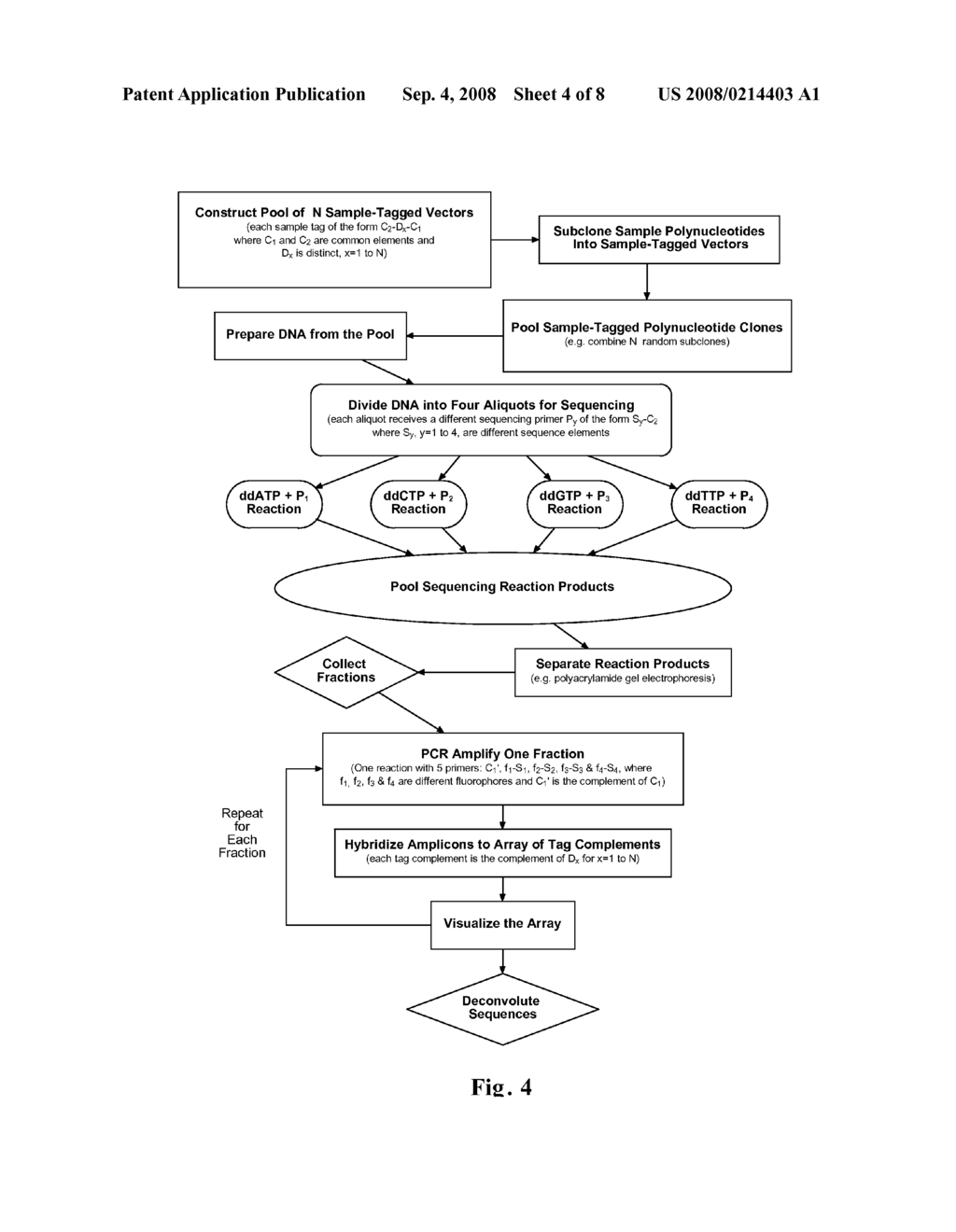 Parallel Methods For Insertional Mutagenesis - diagram, schematic, and image 05