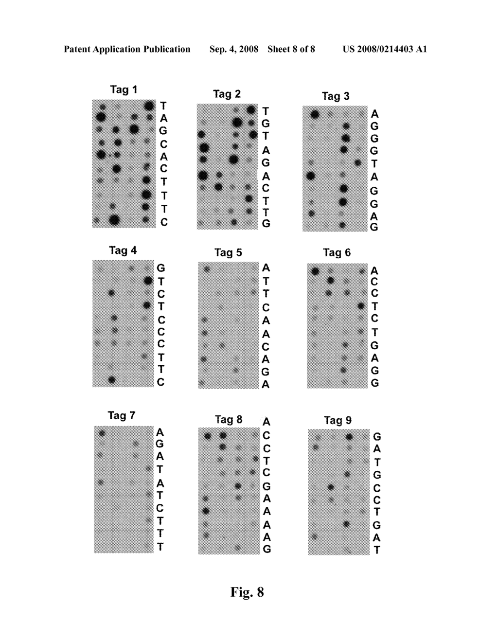 Parallel Methods For Insertional Mutagenesis - diagram, schematic, and image 09