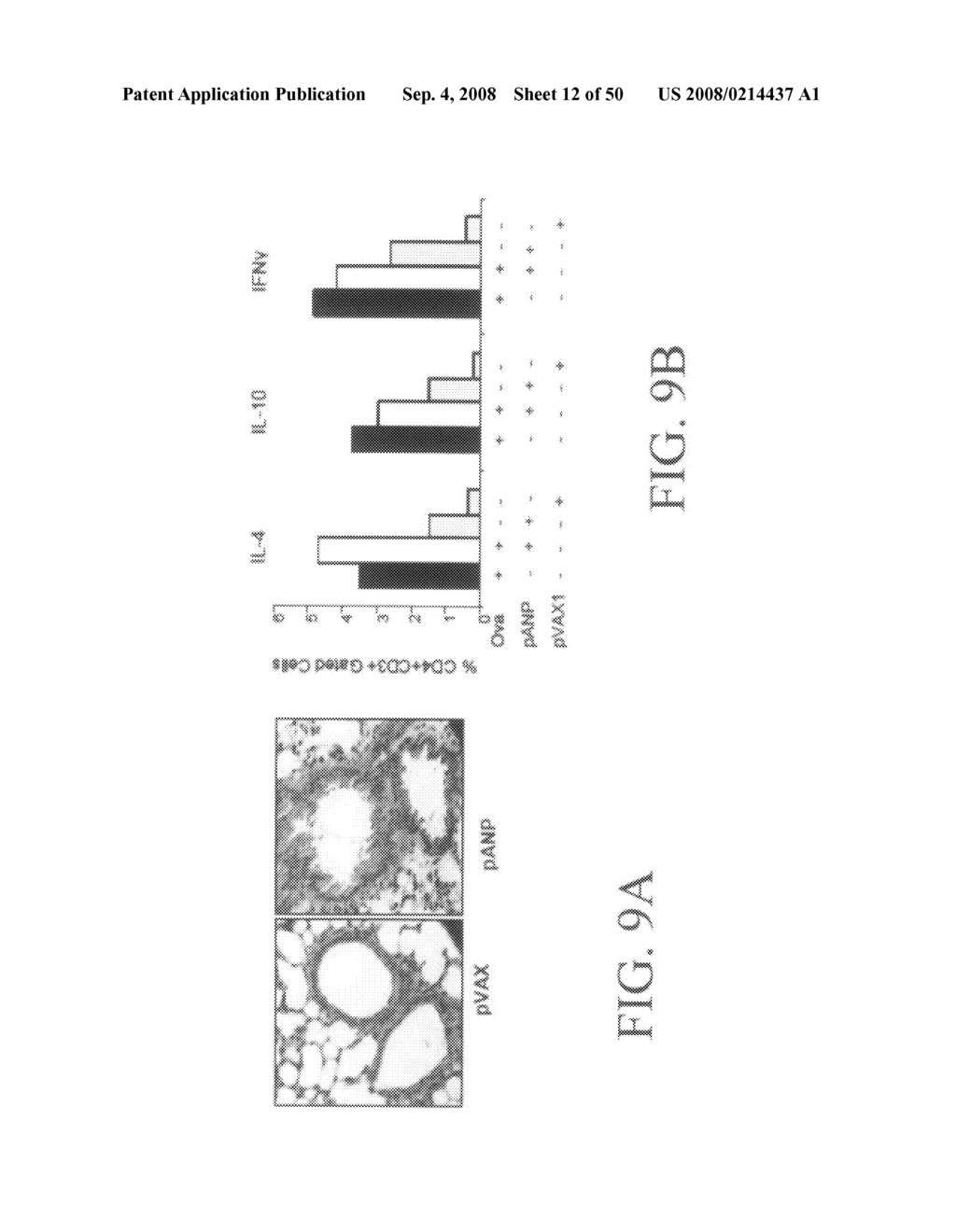 Methods and compositions for reducing activity of the atrial natriuretic peptide receptor and for treatment of diseases - diagram, schematic, and image 13
