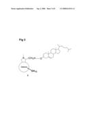 Steroid derivatives of fullerenes diagram and image