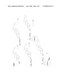 Steroid derivatives of fullerenes diagram and image